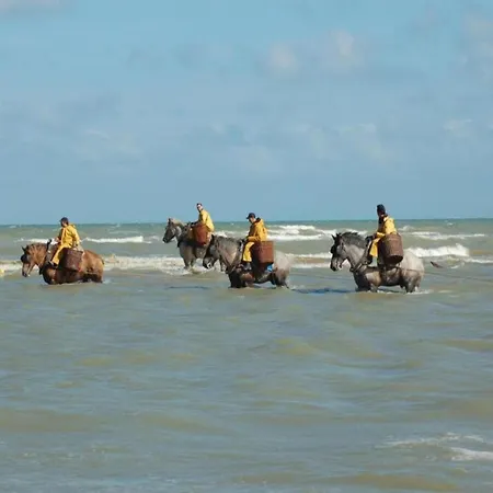 In With Sea Views, Cleaning Included Koksijde