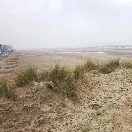In With Sea Views, Cleaning Included Koksijde